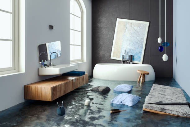 Best Water damage restoration mold remediation  in Hazel Crest, IL