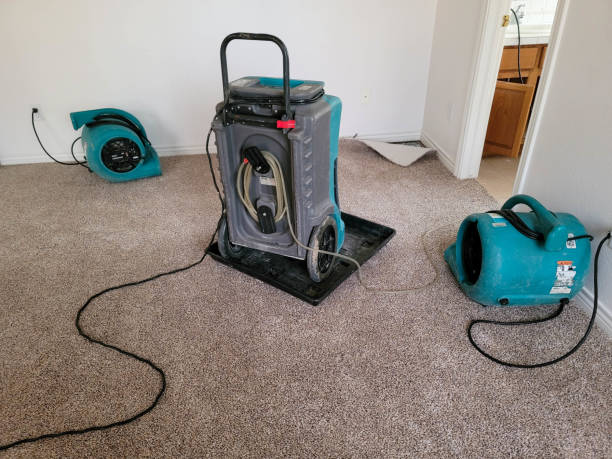Best 24/7 water damage repair  in Hazel Crest, IL