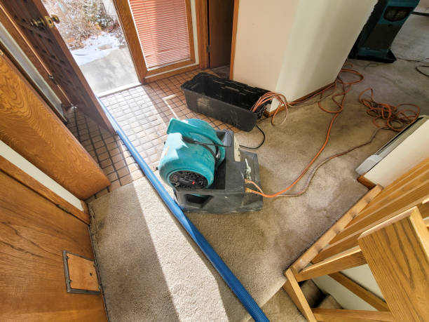 Best Flooded house restoration  in Hazel Crest, IL