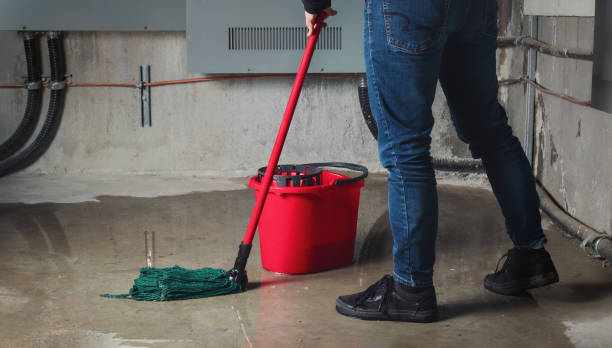 Best 24-hour water damage restoration  in Hazel Crest, IL