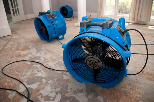 Best 24-hour water damage restoration  in Hazel Crest, IL