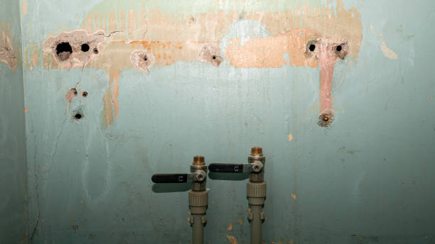 Best Local water damage restoration  in Hazel Crest, IL