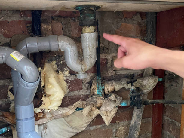 Best 24-hour water damage restoration  in Hazel Crest, IL