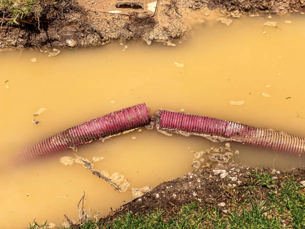 Best Sewage cleanup and water damage restoration  in Hazel Crest, IL
