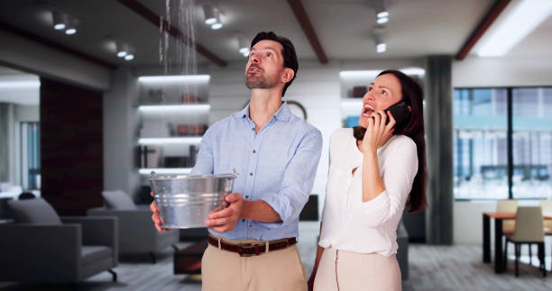 Best Basement water damage restoration  in Hazel Crest, IL