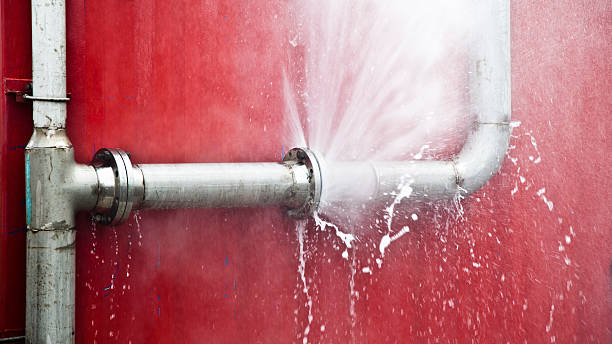 Best Ceiling water damage repair  in Hazel Crest, IL